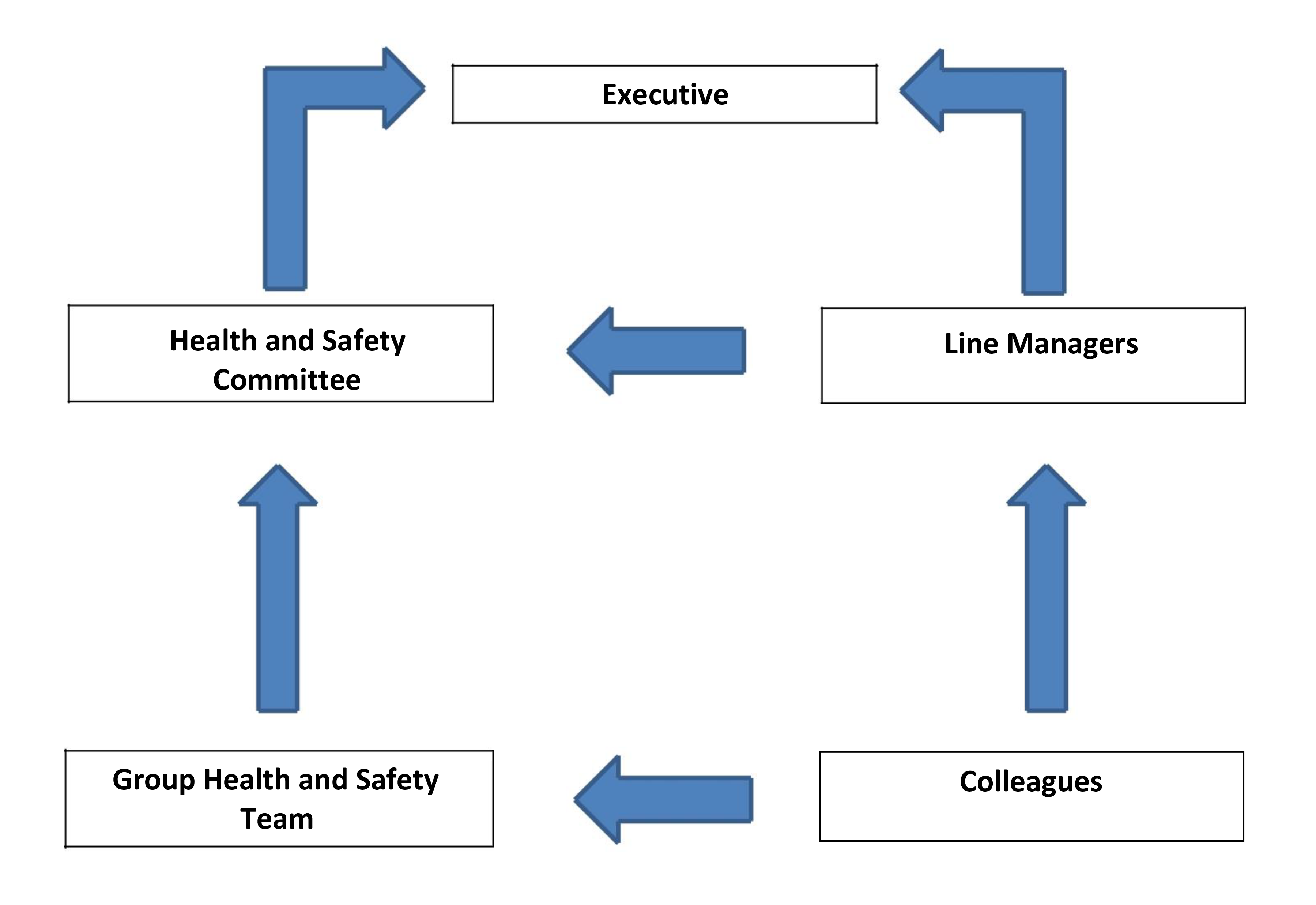 Flow diagram for the Group Health and Safety Policy